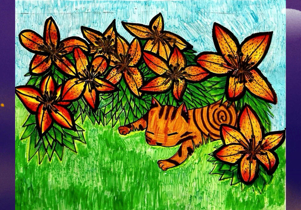 Sunshine’s tiger Lillie’s